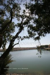 Image du Maroc Professionnelle de  Le Barrage Machraa Hamadi dont la capacité est de 42 Millions de m3, est construit sur l'Oued Moulouya, il permet, depuis 1956, d'approvisionner la région et d'irriguer les terres de cultures, ce barrage fournit en eau potable les ville de Nador, Oujda, il permet également l'approvisionnement des centre de Taourirte et El Aïoun Sidi Mellouk. Samedi 1er octobre 2005. (Photo / Abdeljalil Bounhar)